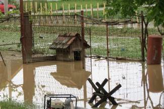 ¨Krivci su ljudi u Hrvatskim vodama i Tekiji koji rade po svom¨