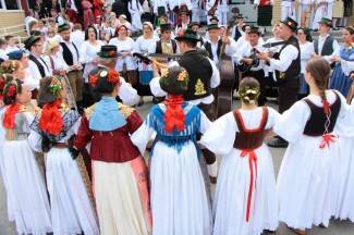 LIDAS 2014: Folklor na ulicama Pleternice