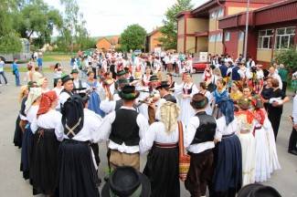 LIDAS 2014: Folklor na ulicama Pleternice