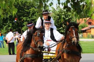 LIDAS 2014: Folklor na ulicama Pleternice