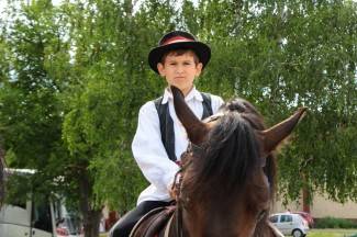 LIDAS 2014: Folklor na ulicama Pleternice