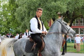 LIDAS 2014: Folklor na ulicama Pleternice