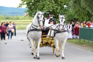 LIDAS 2014: Folklor na ulicama Pleternice