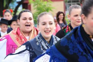 LIDAS 2014: Folklor na ulicama Pleternice