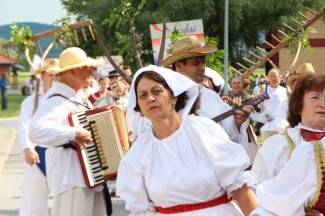 LIDAS 2014: Folklor na ulicama Pleternice
