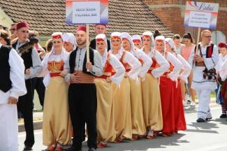 LIDAS 2014: Folklor na ulicama Pleternice