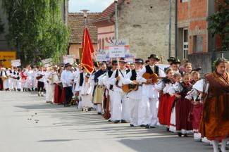 LIDAS 2014: Folklor na ulicama Pleternice