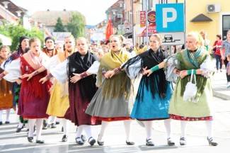 LIDAS 2014: Folklor na ulicama Pleternice