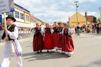 LIDAS 2014: Folklor na ulicama Pleternice