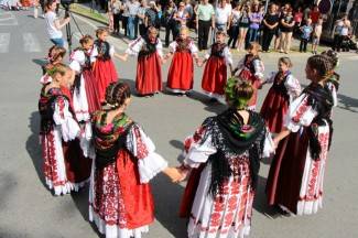 LIDAS 2014: Folklor na ulicama Pleternice