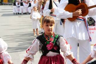 LIDAS 2014: Folklor na ulicama Pleternice