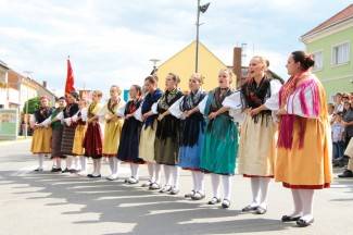 LIDAS 2014: Folklor na ulicama Pleternice