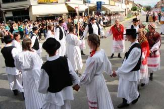 LIDAS 2014: Folklor na ulicama Pleternice