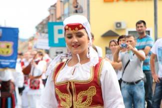 LIDAS 2014: Folklor na ulicama Pleternice
