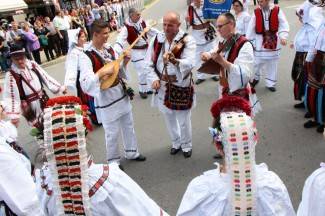 LIDAS 2014: Folklor na ulicama Pleternice