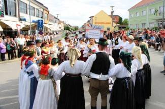LIDAS 2014: Folklor na ulicama Pleternice