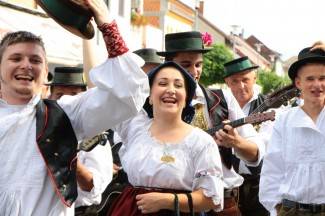 LIDAS 2014: Folklor na ulicama Pleternice
