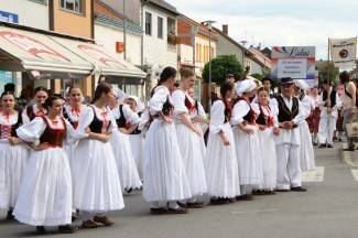 LIDAS 2014: Folklor na ulicama Pleternice