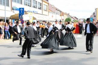 LIDAS 2014: Folklor na ulicama Pleternice