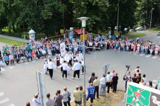 LIDAS 2014: Folklor na ulicama Pleternice