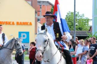 LIDAS 2014: Folklor na ulicama Pleternice