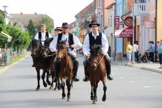 LIDAS 2014: Folklor na ulicama Pleternice