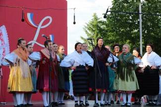 LIDAS 2014: Folklor na ulicama Pleternice