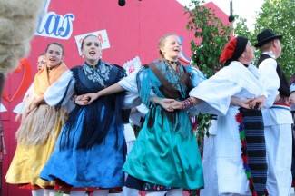 LIDAS 2014: Folklor na ulicama Pleternice