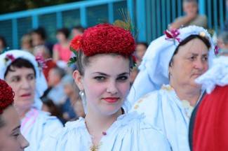 LIDAS 2014: Folklor na ulicama Pleternice