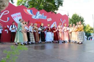 LIDAS 2014: Folklor na ulicama Pleternice