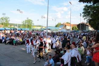 LIDAS 2014: Folklor na ulicama Pleternice
