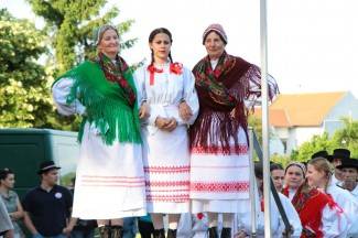 LIDAS 2014: Folklor na ulicama Pleternice