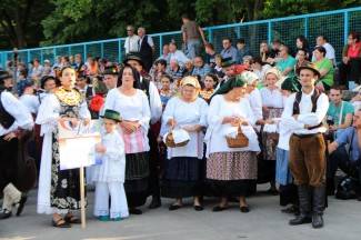 LIDAS 2014: Folklor na ulicama Pleternice