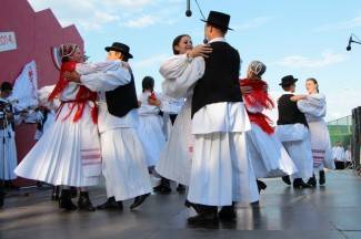 LIDAS 2014: Folklor na ulicama Pleternice
