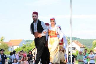 LIDAS 2014: Folklor na ulicama Pleternice