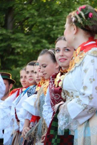 LIDAS 2014: Folklor na ulicama Pleternice
