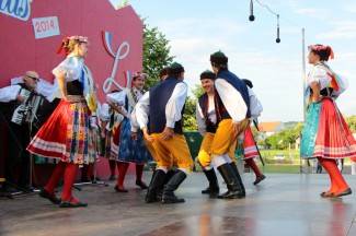 LIDAS 2014: Folklor na ulicama Pleternice
