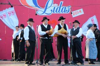 LIDAS 2014: Folklor na ulicama Pleternice