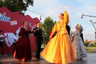 LIDAS 2014: Folklor na ulicama Pleternice