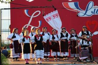 LIDAS 2014: Folklor na ulicama Pleternice