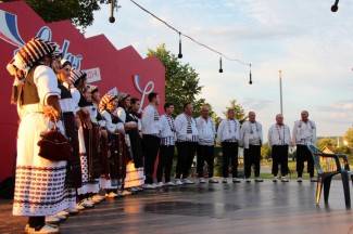 LIDAS 2014: Folklor na ulicama Pleternice