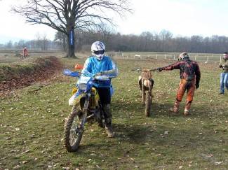 Novogodišnja vožnja: Svake godine sve bolje (video)