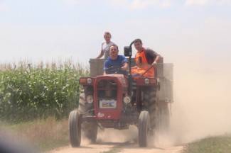 Vrijedni narod Požeštine: Radovi na poljima od Jakšića do Kaptola