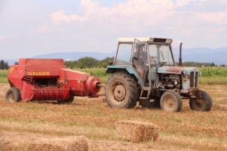 Vrijedni narod Požeštine: Radovi na poljima od Jakšića do Kaptola
