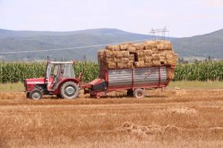 Vrijedni narod Požeštine: Radovi na poljima od Jakšića do Kaptola