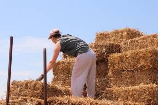 Vrijedni narod Požeštine: Radovi na poljima od Jakšića do Kaptola