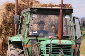 Vrijedni narod Požeštine: Radovi na poljima od Jakšića do Kaptola