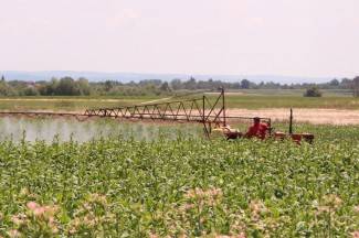 Vrijedni narod Požeštine: Radovi na poljima od Jakšića do Kaptola