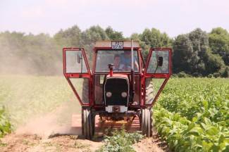 Vrijedni narod Požeštine: Radovi na poljima od Jakšića do Kaptola