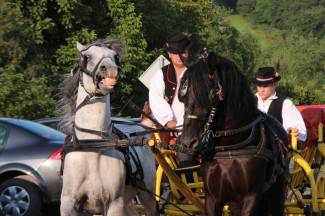 Grabarje: Smotra folklora ¨Poljadija u srcu¨